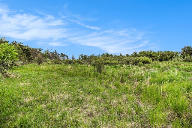 Reek Rd Unit 29.77, Acres V/L Custer, MI 49405