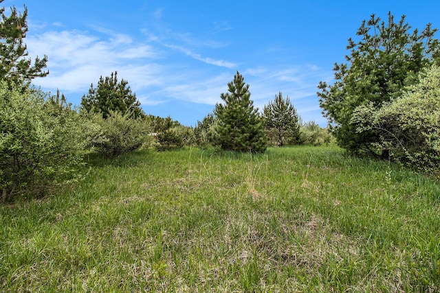 Reek Rd Unit 29.77, Acres V/L Custer, MI 49405