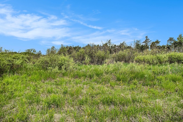 Reek Rd Unit 29.77, Acres V/L Custer, MI 49405