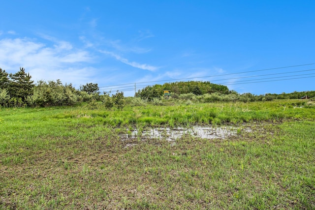 Reek Rd Unit 29.77, Acres V/L Custer, MI 49405