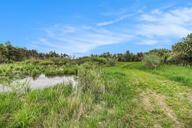 Reek Rd Unit 29.77, Acres V/L Custer, MI 49405