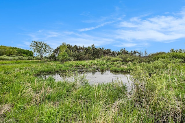Reek Rd Unit 29.77, Acres V/L Custer, MI 49405