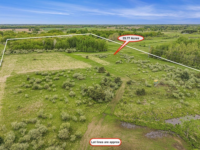 Reek Rd Unit 29.77, Acres V/L Custer, MI 49405