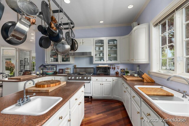 404 N Shore Dr, South Haven, MI 49090 - kitchen with a sink, high end stainless steel range oven, dark countertops, glass insert cabinets, and ornamental molding