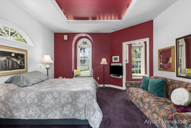 404 N Shore Dr, South Haven, MI 49090 - carpeted bedroom with multiple windows and a tray ceiling