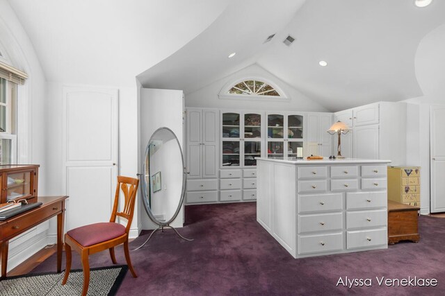 404 N Shore Dr, South Haven, MI 49090 - walk in closet with vaulted ceiling and dark carpet