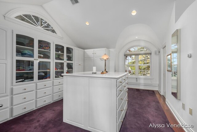 404 N Shore Dr, South Haven, MI 49090 - spacious closet featuring vaulted ceiling and dark carpet