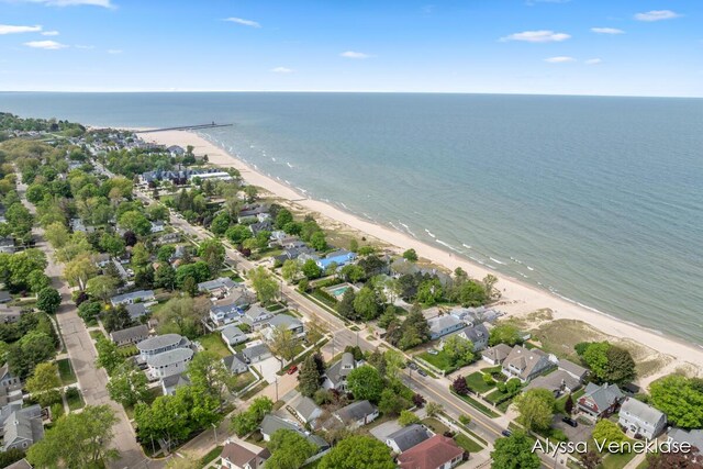 404 N Shore Dr, South Haven, MI 49090 - aerial perspective of suburban area with unending shoreline
