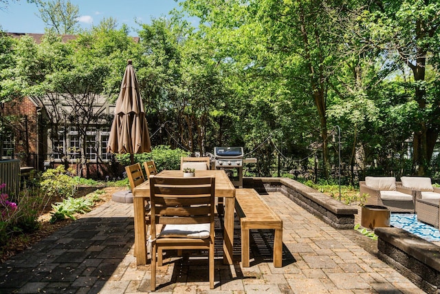 1711 Morton Ave, Ann Arbor, MI 48104 - view of patio featuring outdoor dining area, a grill, and an outdoor hangout area
