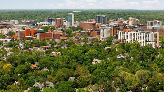 1711 Morton Ave, Ann Arbor, MI 48104 - bird's eye view of a forest