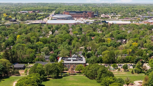 1711 Morton Ave, Ann Arbor, MI 48104 - aerial view of a forest