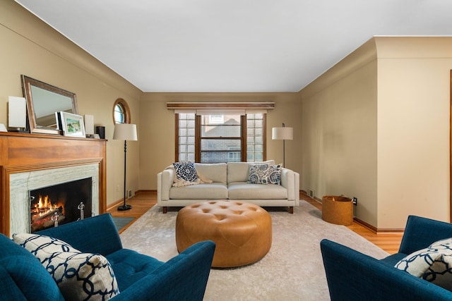 1711 Morton Ave, Ann Arbor, MI 48104 - living room featuring light wood-style floors and a fireplace