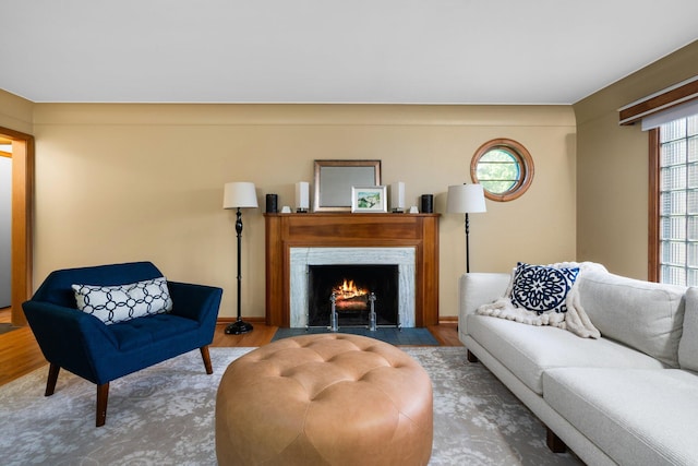 1711 Morton Ave, Ann Arbor, MI 48104 - living area with plenty of natural light, wood finished floors, and a fireplace with flush hearth