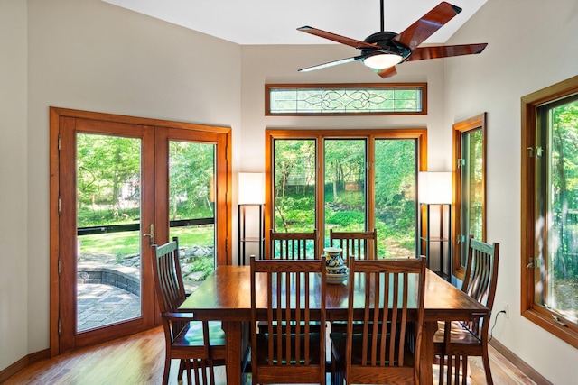 1711 Morton Ave, Ann Arbor, MI 48104 - dining space featuring healthy amount of natural light, light wood finished floors, and ceiling fan
