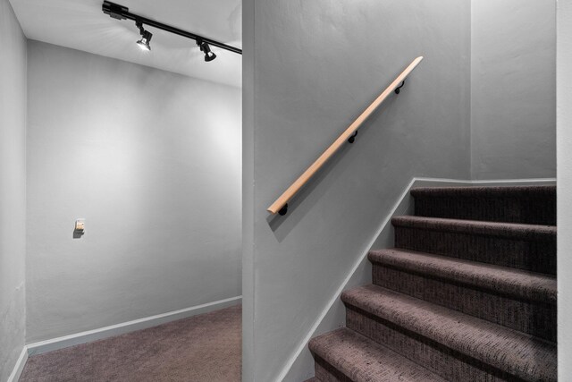 1711 Morton Ave, Ann Arbor, MI 48104 - stairs featuring rail lighting and carpet floors