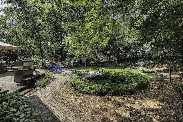 1711 Morton Ave, Ann Arbor, MI 48104 - view of yard featuring a patio