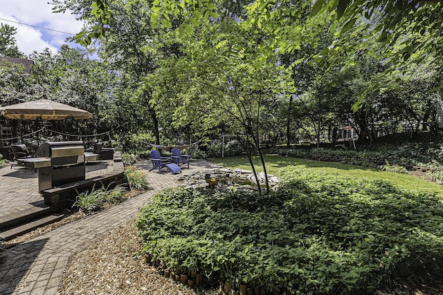 1711 Morton Ave, Ann Arbor, MI 48104 - fenced backyard with view of scattered trees