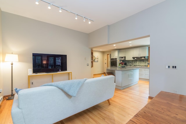 1711 Morton Ave, Ann Arbor, MI 48104 - living room with track lighting and light wood-style floors