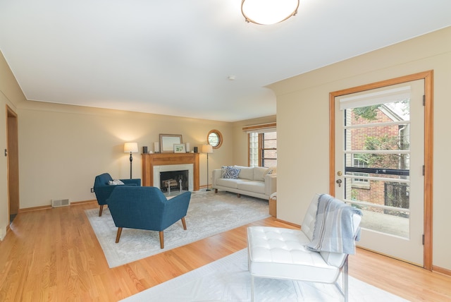 1711 Morton Ave, Ann Arbor, MI 48104 - living area featuring plenty of natural light, light wood-type flooring, and a fireplace