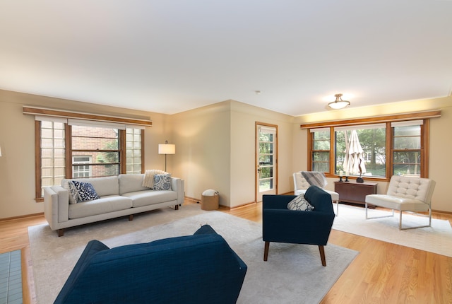 1711 Morton Ave, Ann Arbor, MI 48104 - living area with light wood-type flooring and baseboards