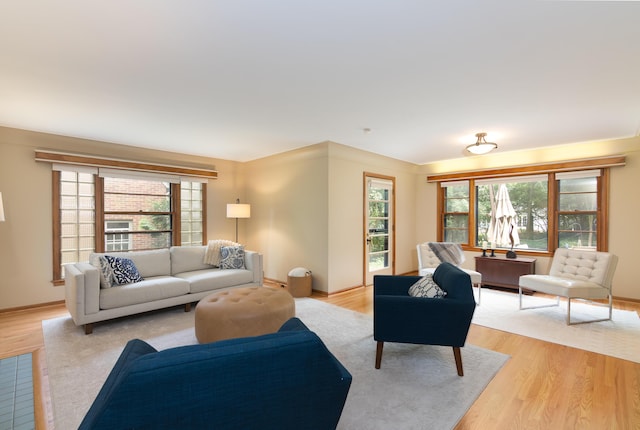 1711 Morton Ave, Ann Arbor, MI 48104 - living room with light wood finished floors
