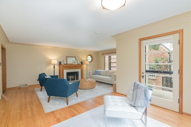 1711 Morton Ave, Ann Arbor, MI 48104 - living area with a fireplace and light wood-style floors