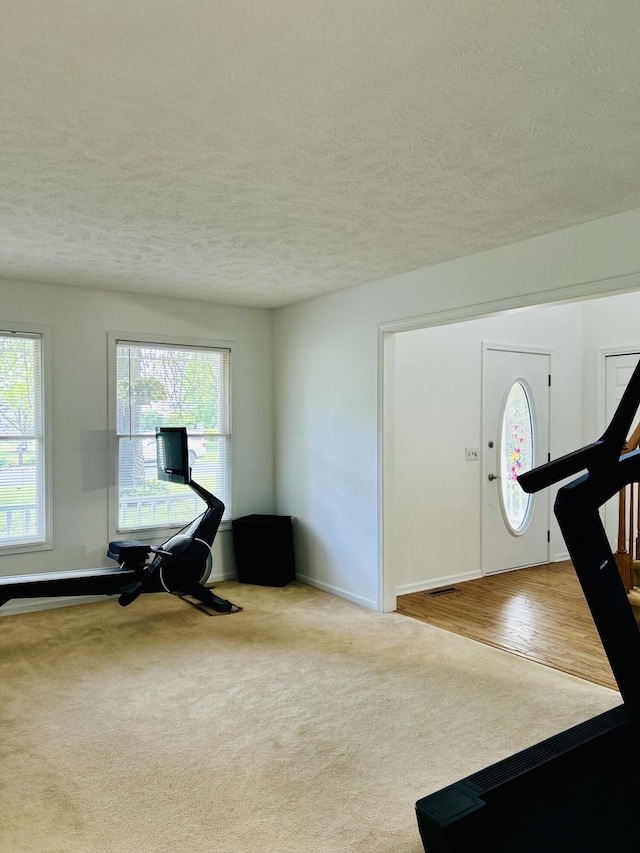 5335 Heathrow Ave, Kalamazoo, MI 49009 - exercise area featuring healthy amount of natural light, a textured ceiling, carpet, and baseboards