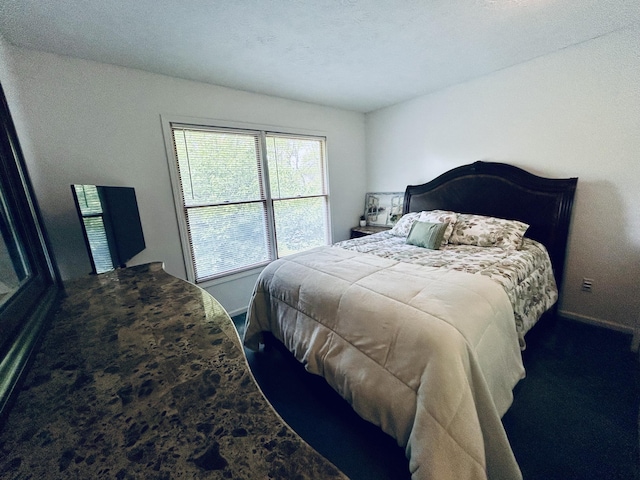 5335 Heathrow Ave, Kalamazoo, MI 49009 - bedroom with baseboards and dark colored carpet