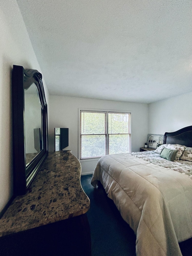 5335 Heathrow Ave, Kalamazoo, MI 49009 - carpeted bedroom with a textured ceiling