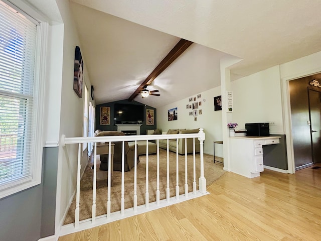5335 Heathrow Ave, Kalamazoo, MI 49009 - kitchen with plenty of natural light, wood finished floors, ceiling fan, and baseboards