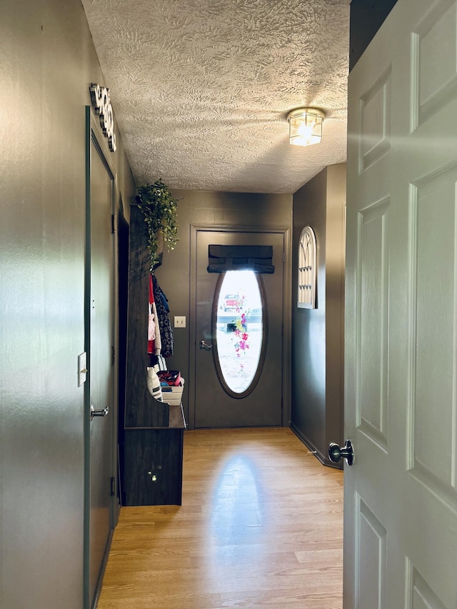 5335 Heathrow Ave, Kalamazoo, MI 49009 - foyer featuring light wood finished floors and a textured ceiling