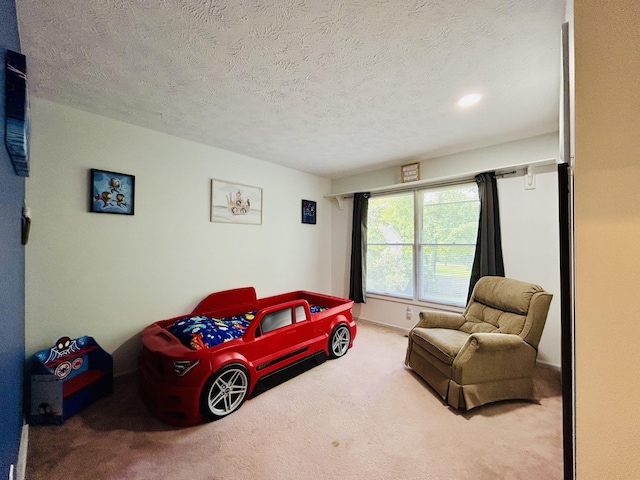 5335 Heathrow Ave, Kalamazoo, MI 49009 - bedroom with carpet flooring and a textured ceiling