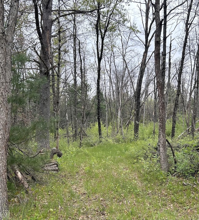 6986 W Baldwin Rd, Baldwin, MI 49304
