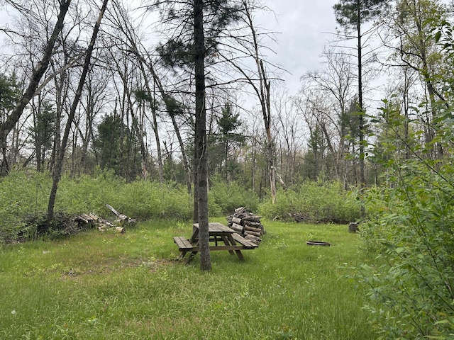 6986 W Baldwin Rd, Baldwin, MI 49304