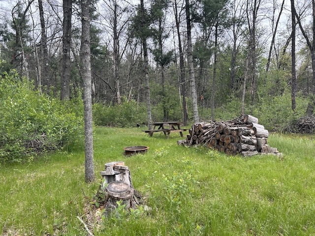 6986 W Baldwin Rd, Baldwin, MI 49304