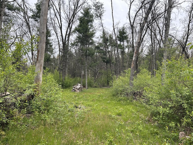6986 W Baldwin Rd, Baldwin, MI 49304