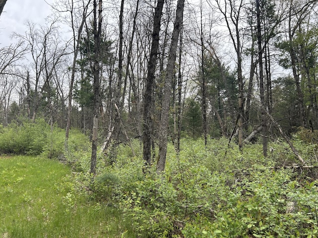 6986 W Baldwin Rd, Baldwin, MI 49304