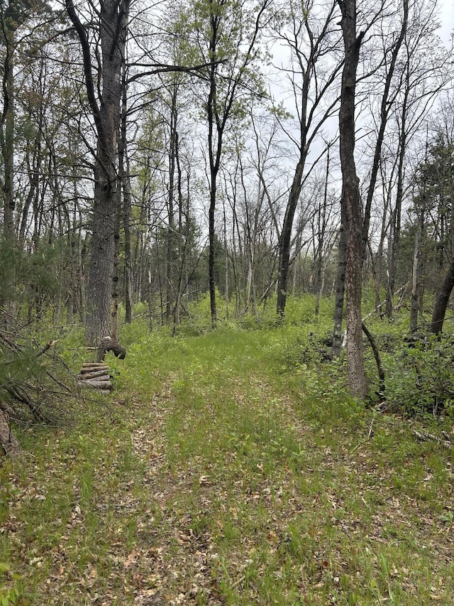 6986 W Baldwin Rd, Baldwin, MI 49304