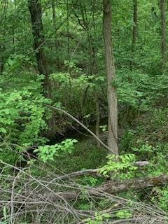 0 Crandall Rd, Howell, MI 48855
