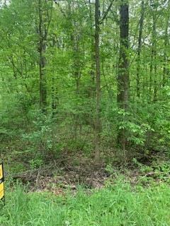 0 Crandall Rd, Howell, MI 48855