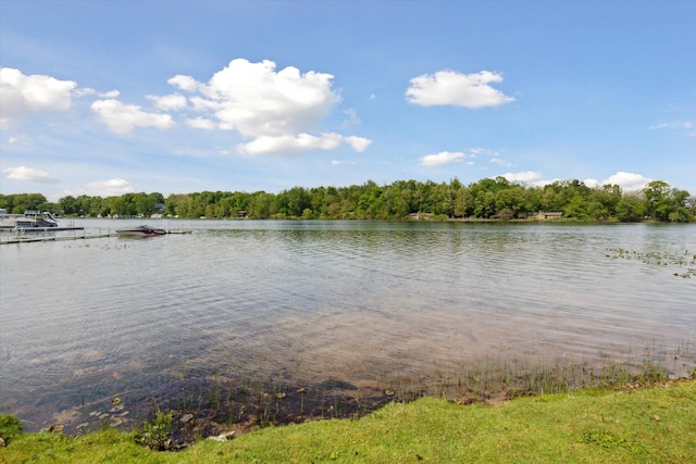 10436 Kings Point Dr, Three Rivers, MI 49093 - photo 56