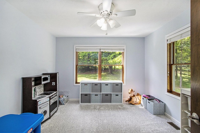 9490 N 12th St, Kalamazoo, MI 49009 - game room with carpet, a ceiling fan, and baseboards