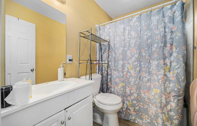 550 1st Ave, Ypsilanti, MI 48197 - bathroom with vanity, toilet, wood finished floors, and curtained shower