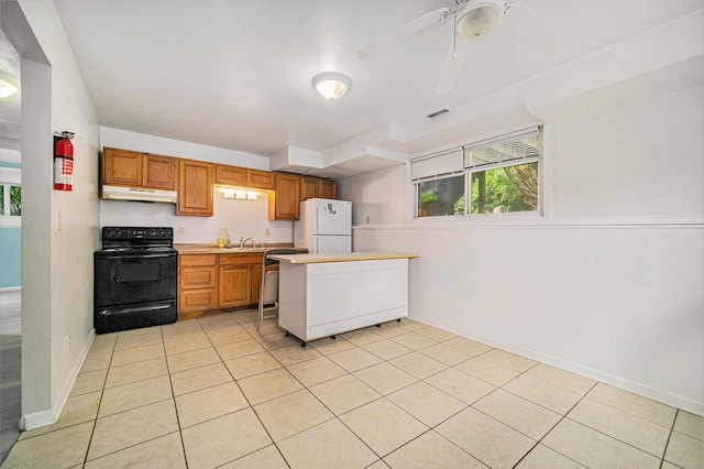 550 1st Ave, Ypsilanti, MI 48197 - kitchen with black electric range oven, freestanding refrigerator, under cabinet range hood, a sink, and baseboards