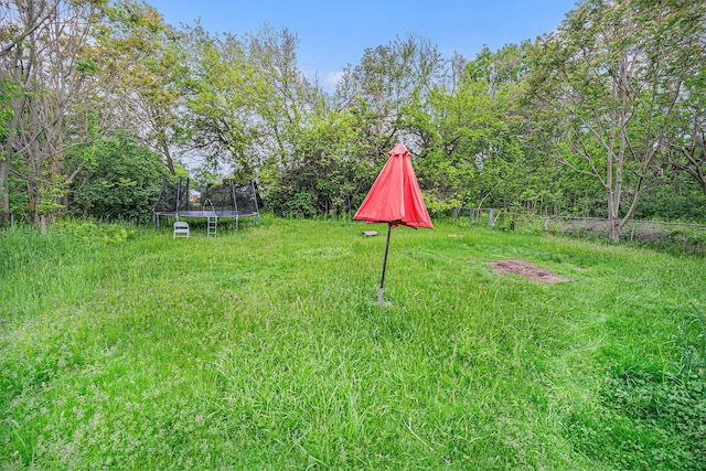 550 1st Ave, Ypsilanti, MI 48197 - view of yard with a trampoline