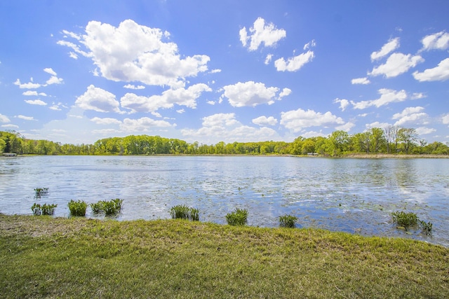 15842 Portage Rd, Vicksburg, MI 49097 - water view