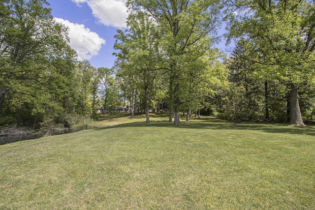 15842 Portage Rd, Vicksburg, MI 49097 - view of grassy yard