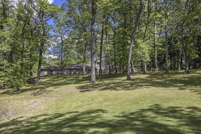 15842 Portage Rd, Vicksburg, MI 49097 - view of green lawn