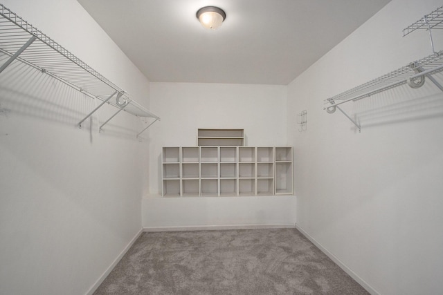 15842 Portage Rd, Vicksburg, MI 49097 - walk in closet with carpet