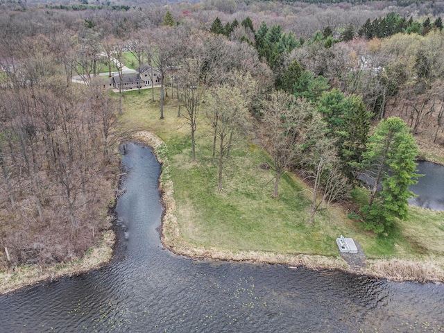 15842 Portage Rd, Vicksburg, MI 49097 - bird's eye view of a large body of water and a heavily wooded area